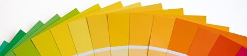 Our portfolio