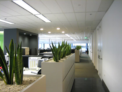Maunsell Basset Fitout