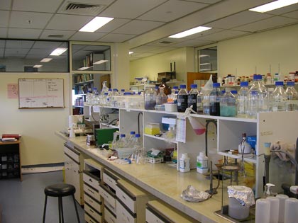University of Sydney