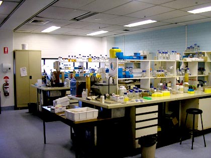 University of Sydney