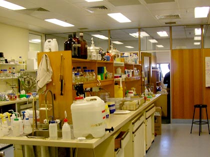 University of Sydney